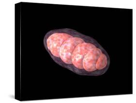 Conceptual Image of Mitochondria-null-Stretched Canvas