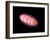 Conceptual Image of Mitochondria-null-Framed Art Print