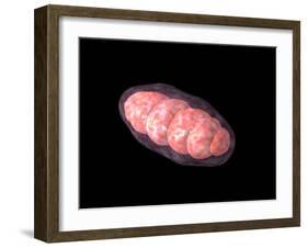 Conceptual Image of Mitochondria-null-Framed Art Print