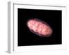 Conceptual Image of Mitochondria-null-Framed Art Print