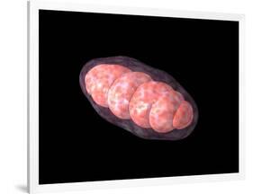 Conceptual Image of Mitochondria-null-Framed Art Print