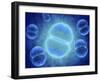 Conceptual Image of Mitosis-null-Framed Art Print