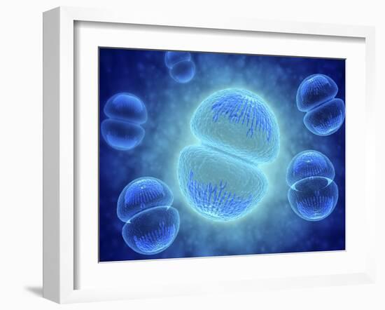 Conceptual Image of Mitosis-null-Framed Art Print