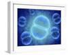 Conceptual Image of Mitosis-null-Framed Art Print