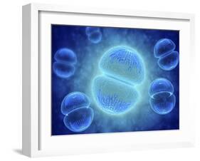 Conceptual Image of Mitosis-null-Framed Art Print
