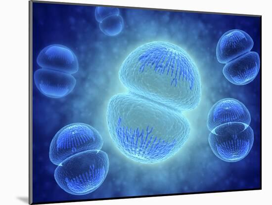 Conceptual Image of Mitosis-null-Mounted Art Print