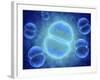 Conceptual Image of Mitosis-null-Framed Art Print