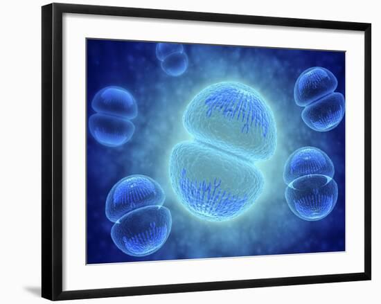 Conceptual Image of Mitosis-null-Framed Art Print