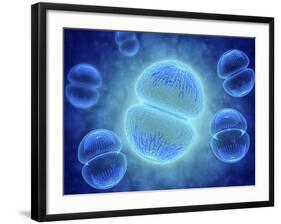 Conceptual Image of Mitosis-null-Framed Art Print