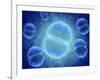 Conceptual Image of Mitosis-null-Framed Art Print