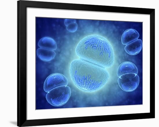 Conceptual Image of Mitosis-null-Framed Art Print