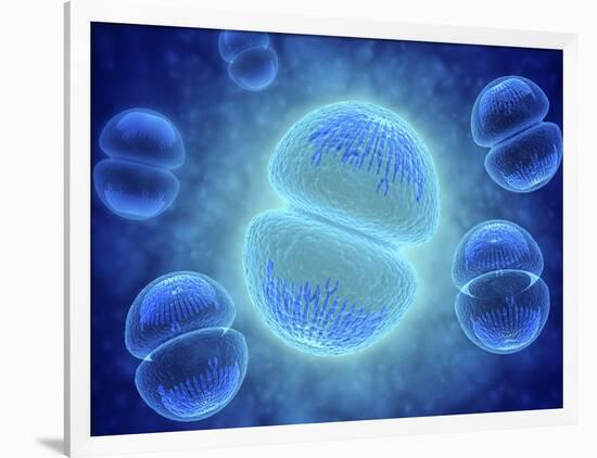 Conceptual Image of Mitosis-null-Framed Art Print