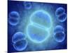 Conceptual Image of Mitosis-null-Mounted Art Print