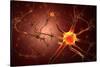 Conceptual Image of Neuron-null-Stretched Canvas