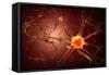 Conceptual Image of Neuron-null-Framed Stretched Canvas