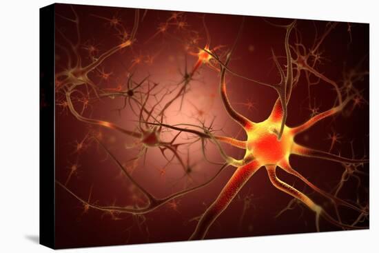 Conceptual Image of Neuron-null-Stretched Canvas