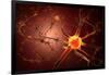 Conceptual Image of Neuron-null-Framed Art Print