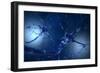 Conceptual Image of Neuron-null-Framed Art Print