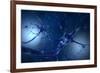 Conceptual Image of Neuron-null-Framed Art Print