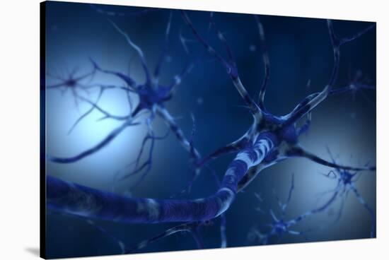 Conceptual Image of Neuron-null-Stretched Canvas