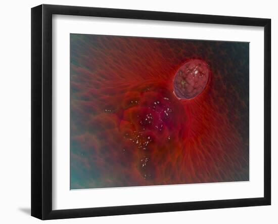 Conceptual Image of Ovulation in Female-null-Framed Art Print