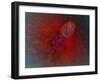 Conceptual Image of Ovulation in Female-null-Framed Art Print