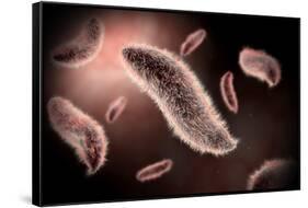 Conceptual Image of Paramecium-null-Framed Stretched Canvas