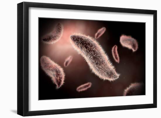 Conceptual Image of Paramecium-null-Framed Art Print