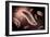 Conceptual Image of Paramecium-null-Framed Art Print