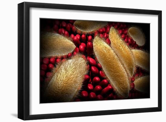 Conceptual Image of Paramecium-null-Framed Art Print