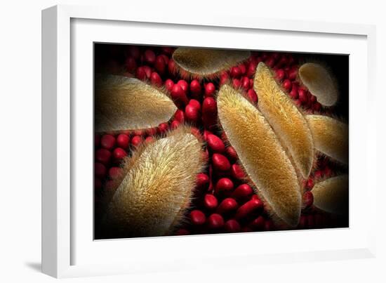 Conceptual Image of Paramecium-null-Framed Art Print