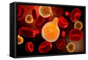 Conceptual Image of Plasmodium Causing Malaria-null-Framed Stretched Canvas