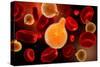 Conceptual Image of Plasmodium Causing Malaria-null-Stretched Canvas