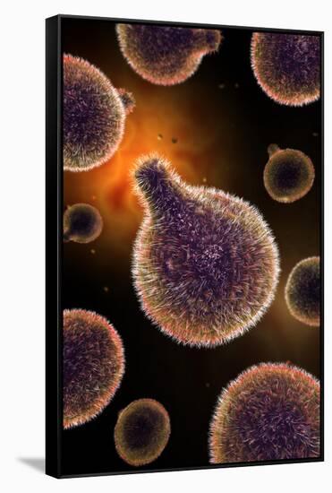 Conceptual Image of Plasmodium Causing Malaria-null-Framed Stretched Canvas