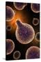 Conceptual Image of Plasmodium Causing Malaria-null-Stretched Canvas