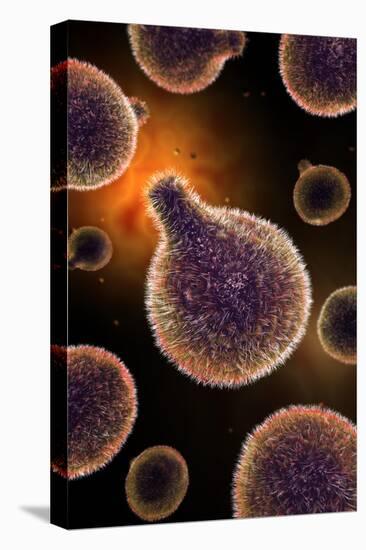 Conceptual Image of Plasmodium Causing Malaria-null-Stretched Canvas