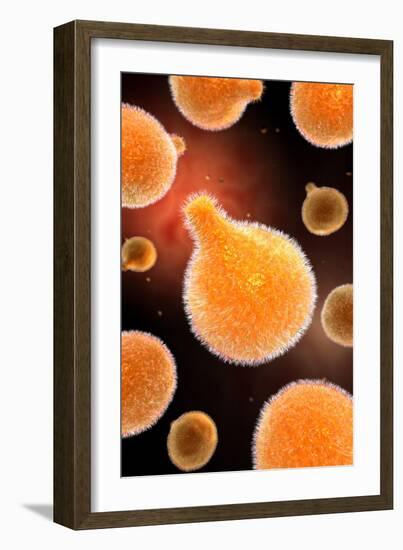 Conceptual Image of Plasmodium Causing Malaria-null-Framed Art Print