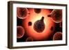 Conceptual Image of Plasmodium Causing Malaria-null-Framed Art Print