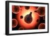 Conceptual Image of Plasmodium Causing Malaria-null-Framed Art Print