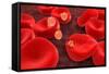Conceptual Image of Plasmodium-null-Framed Stretched Canvas