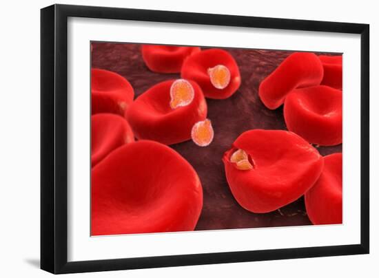 Conceptual Image of Plasmodium-null-Framed Art Print