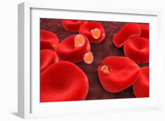 Conceptual Image of Plasmodium-null-Framed Art Print