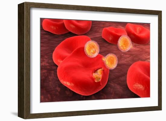 Conceptual Image of Plasmodium-null-Framed Art Print