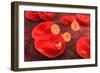 Conceptual Image of Plasmodium-null-Framed Art Print