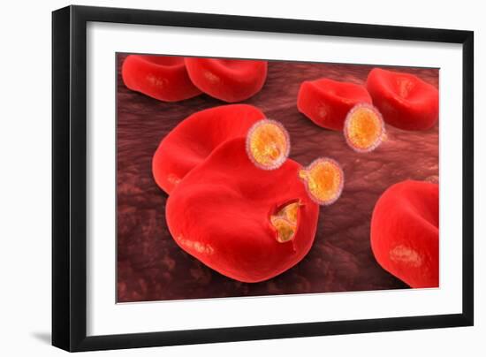 Conceptual Image of Plasmodium-null-Framed Art Print