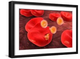 Conceptual Image of Plasmodium-null-Framed Art Print