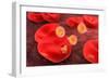 Conceptual Image of Plasmodium-null-Framed Art Print