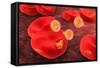 Conceptual Image of Plasmodium-null-Framed Stretched Canvas