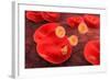 Conceptual Image of Plasmodium-null-Framed Art Print