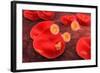 Conceptual Image of Plasmodium-null-Framed Art Print